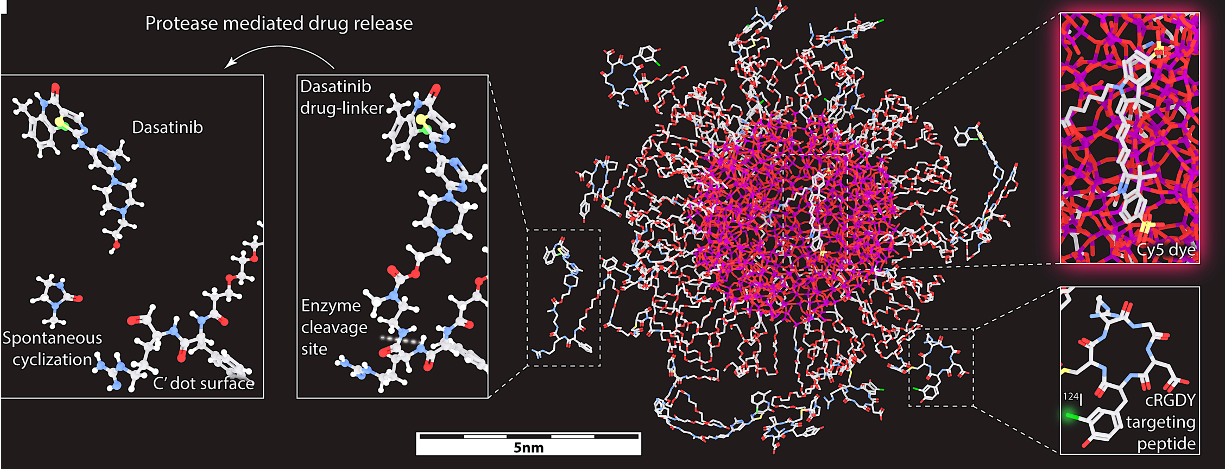 3D rendering of dasatinib-bound Cornell Prime Dots with encapsulated Cy5 dyes, cRGD peptides, and 124I for PET imaging.